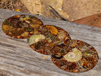 Hand Made Ammonite Conglomerate Table Coasters x 6 From Mahajanga, Madagascar - Toprock Gemstones and Minerals 