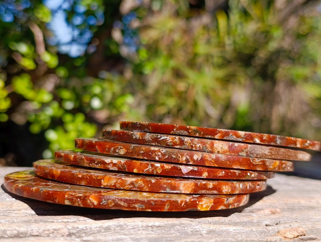 Hand Made Ammonite Conglomerate Table Coasters x 6 From Mahajanga, Madagascar - Toprock Gemstones and Minerals 