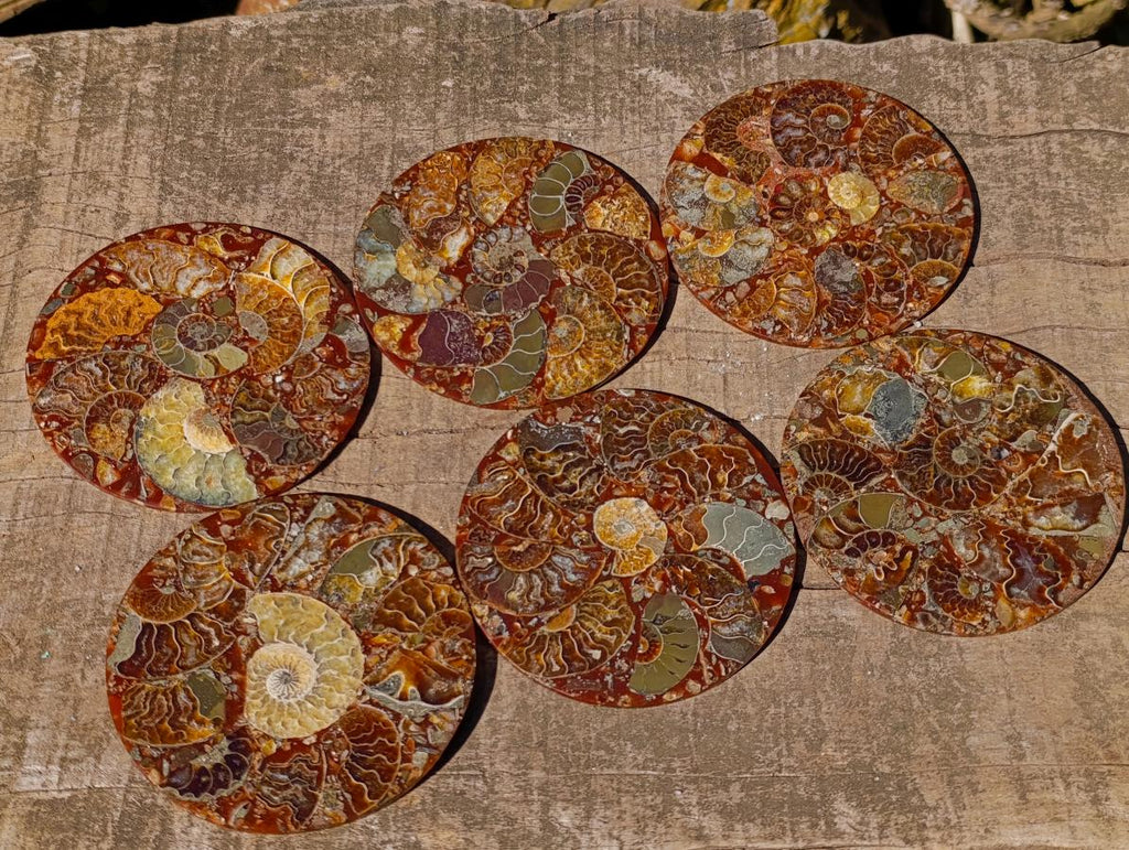 Hand Made Ammonite Conglomerate Table Coasters x 6 From Mahajanga, Madagascar - Toprock Gemstones and Minerals 