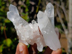 Natural Malagasy Quartz Clusters x 35 From Madagascar - Toprock Gemstones and Minerals 
