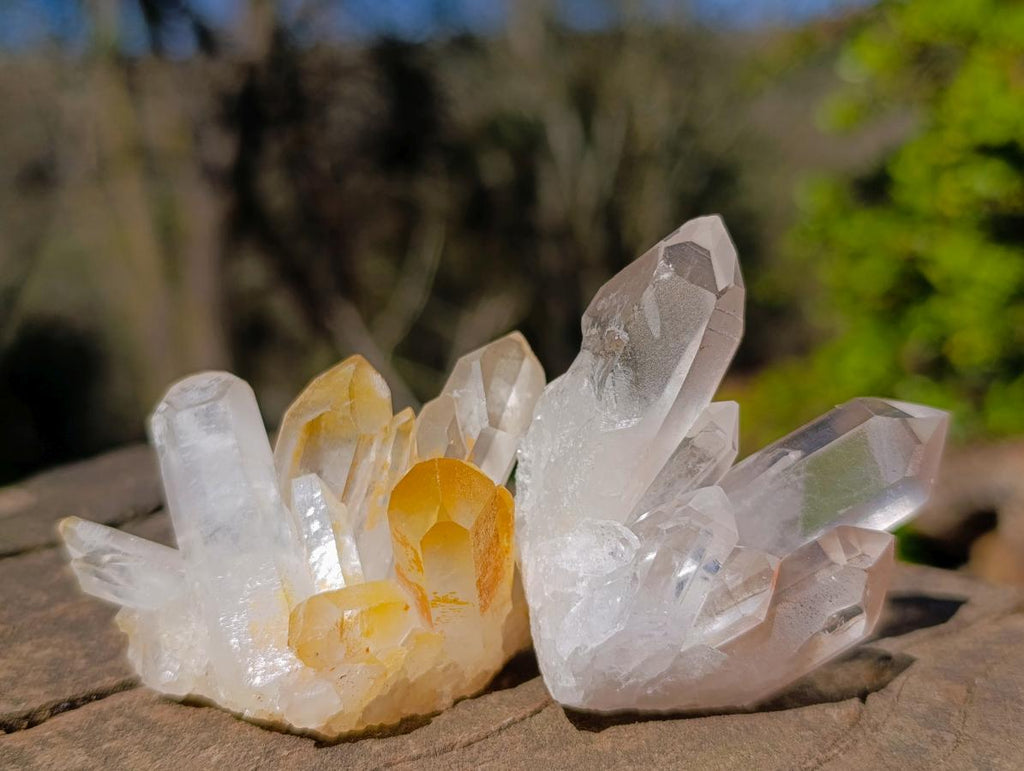 Natural Malagasy Quartz Clusters x 35 From Madagascar - Toprock Gemstones and Minerals 