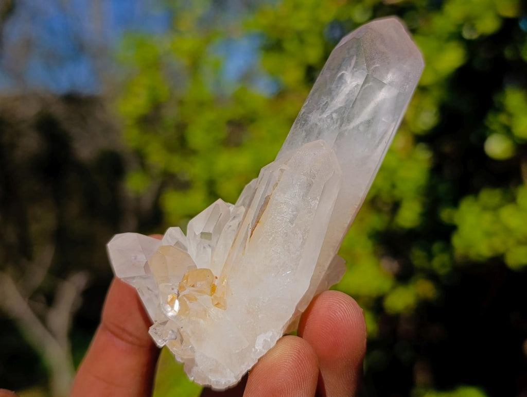 Natural Malagasy Quartz Clusters x 35 From Madagascar - Toprock Gemstones and Minerals 