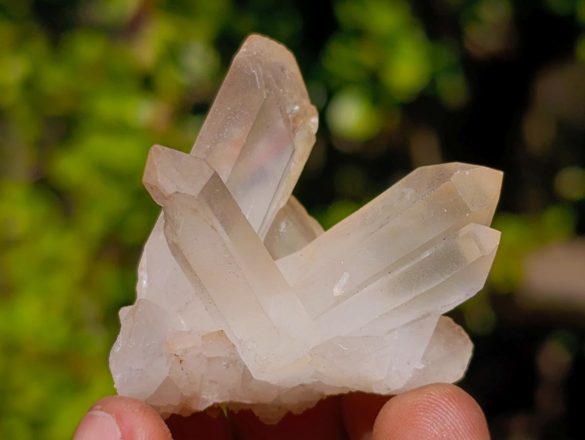 Natural Malagasy Quartz Clusters x 35 From Madagascar - Toprock Gemstones and Minerals 