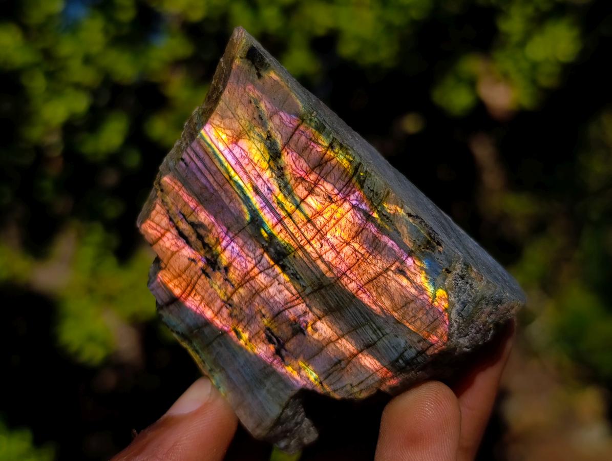 Polished One Side Purple Sunset Flash Labradorite Slices x 24 From Madagascar - Toprock Gemstones and Minerals 