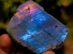 Polished One Side Purple Sunset Flash Labradorite Slices x 24 From Madagascar - Toprock Gemstones and Minerals 