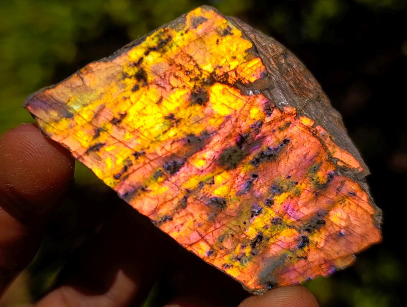Polished One Side Purple Sunset Flash Labradorite Slices x 24 From Madagascar - Toprock Gemstones and Minerals 