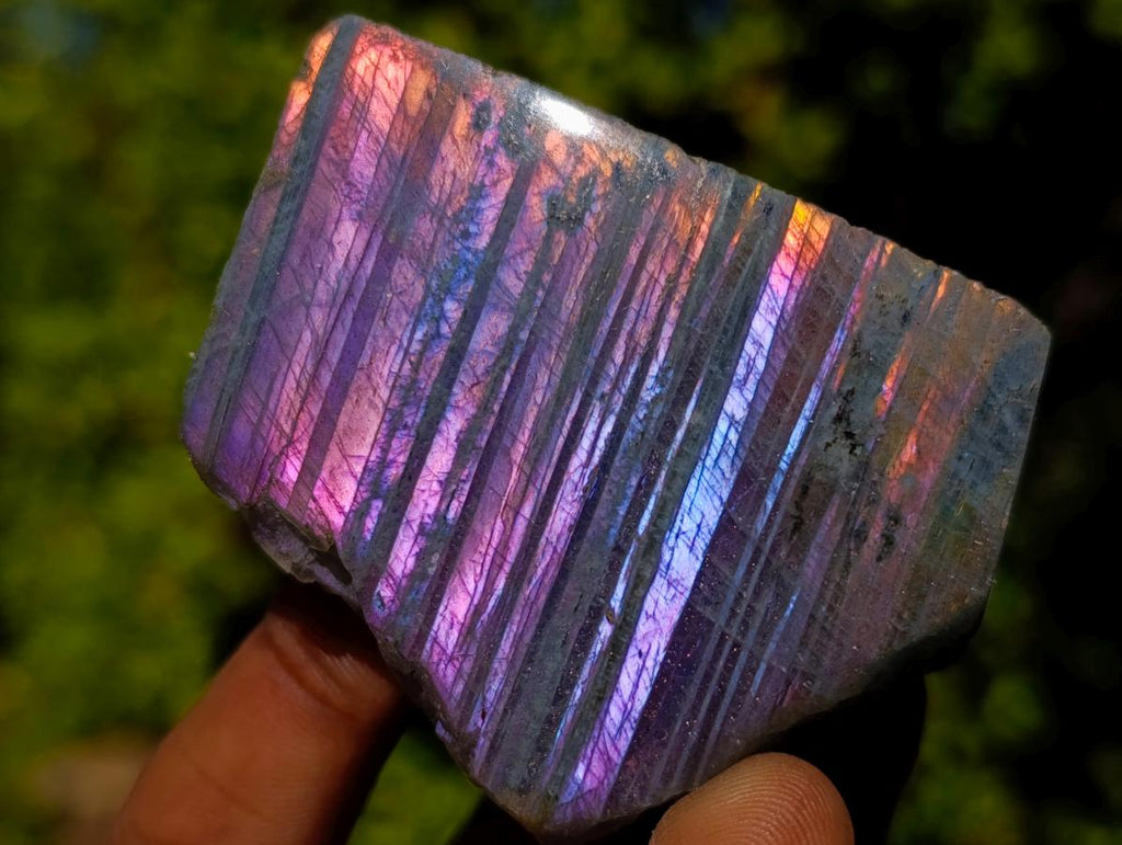 Polished One Side Purple Sunset Flash Labradorite Slices x 24 From Madagascar - Toprock Gemstones and Minerals 