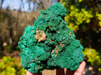 Natural Silky Malachite Specimens x 2 From Kasompe, Congo - Toprock Gemstones and Minerals 