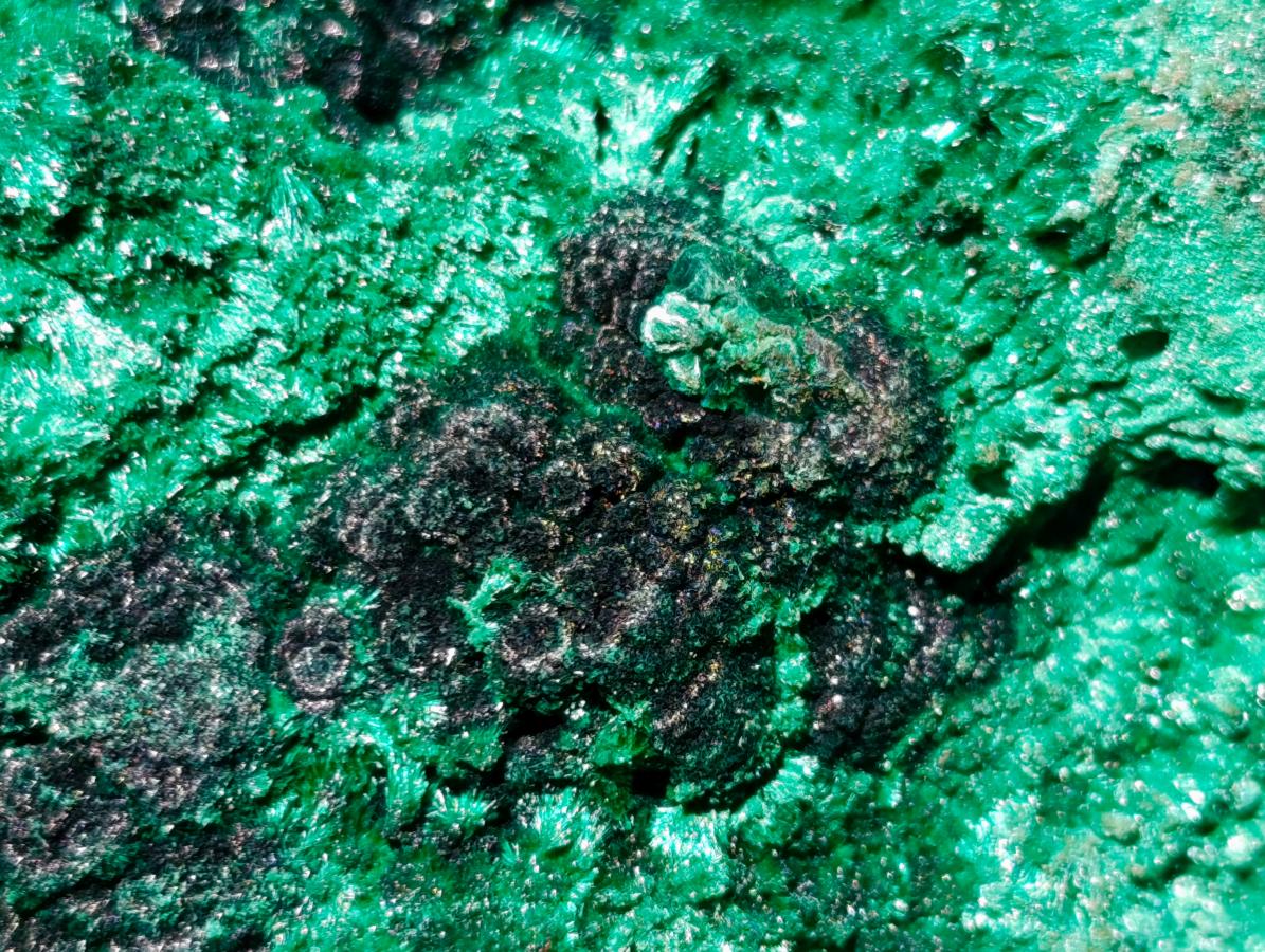 Natural Silky Malachite Specimens x 2 From Kasompe, Congo - Toprock Gemstones and Minerals 