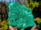 Natural Silky Malachite Specimens x 2 From Kasompe, Congo - Toprock Gemstones and Minerals 