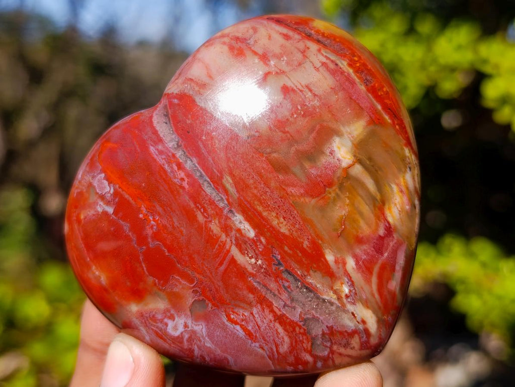 Polished Red Podocarpus Petrified Wood Hearts x 6 From Mahajanga, Madagascar - Toprock Gemstones and Minerals 