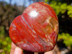 Polished Red Podocarpus Petrified Wood Hearts x 6 From Mahajanga, Madagascar - Toprock Gemstones and Minerals 