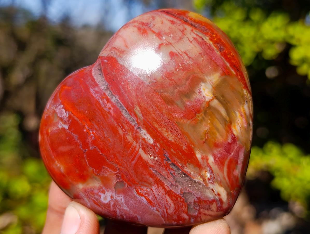 Polished Red Podocarpus Petrified Wood Hearts x 6 From Mahajanga, Madagascar - Toprock Gemstones and Minerals 