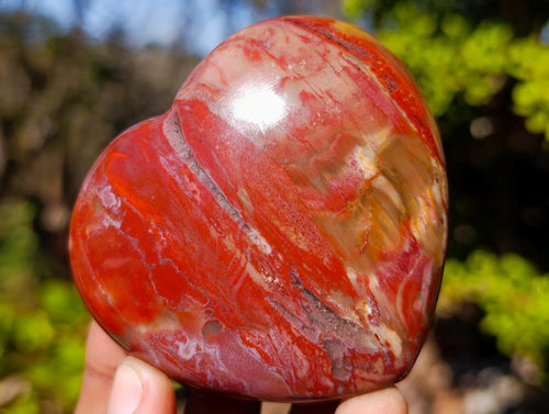 Polished Red Podocarpus Petrified Wood Hearts x 6 From Mahajanga, Madagascar - Toprock Gemstones and Minerals 