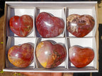 Polished Red Podocarpus Petrified Wood Hearts x 6 From Mahajanga, Madagascar - Toprock Gemstones and Minerals 