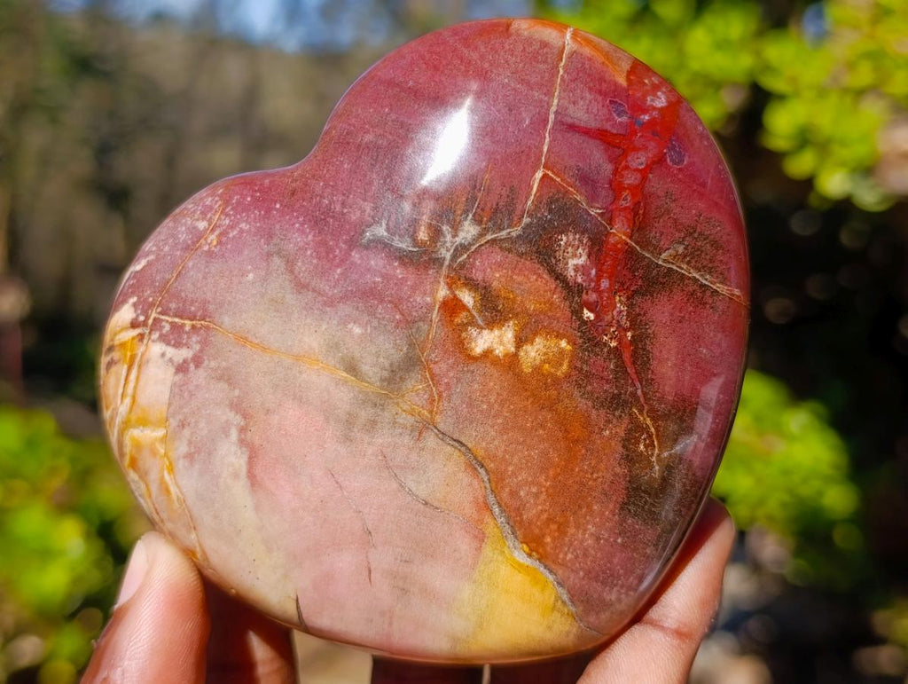 Polished Red Podocarpus Petrified Wood Hearts x 6 From Mahajanga, Madagascar - Toprock Gemstones and Minerals 