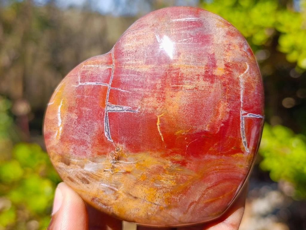Polished Red Podocarpus Petrified Wood Hearts x 6 From Mahajanga, Madagascar - Toprock Gemstones and Minerals 