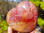 Polished Red Podocarpus Petrified Wood Hearts x 6 From Mahajanga, Madagascar - Toprock Gemstones and Minerals 