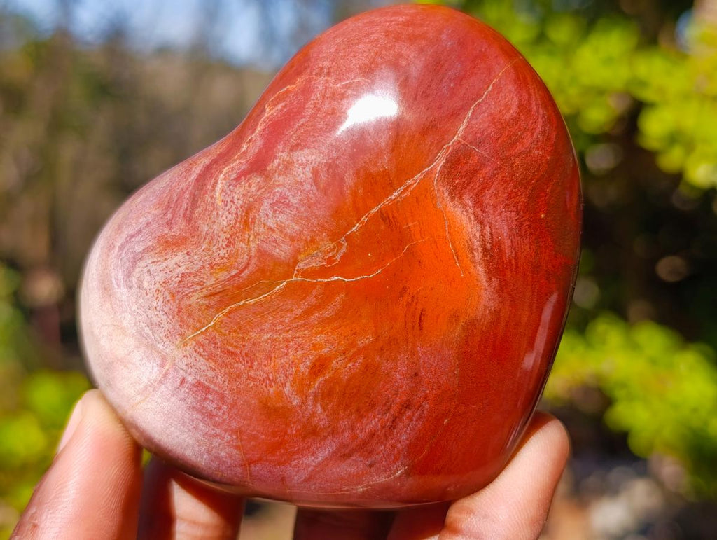 Polished Red Podocarpus Petrified Wood Hearts x 6 From Mahajanga, Madagascar - Toprock Gemstones and Minerals 
