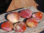 Polished Red Podocarpus Petrified Wood Hearts x 6 From Mahajanga, Madagascar - Toprock Gemstones and Minerals 