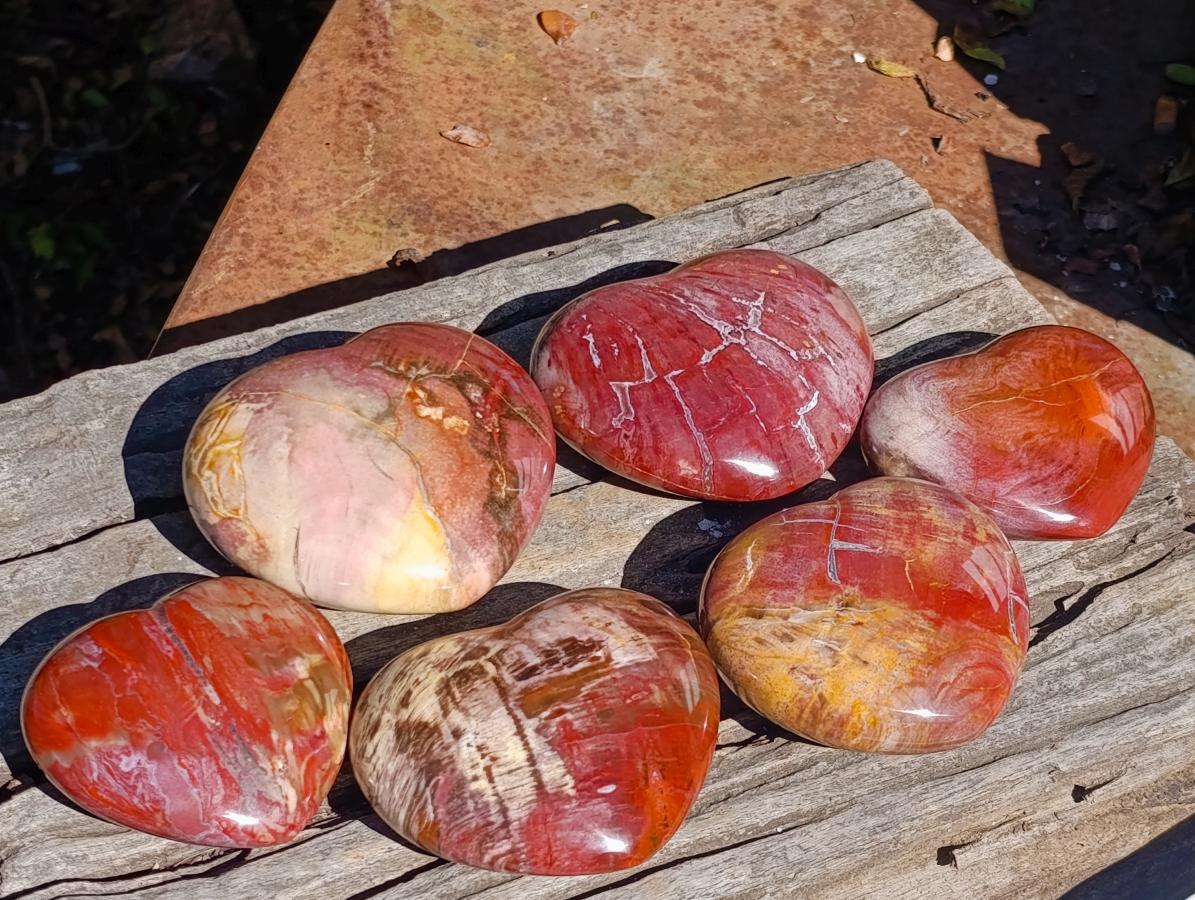 Polished Red Podocarpus Petrified Wood Hearts x 6 From Mahajanga, Madagascar - Toprock Gemstones and Minerals 