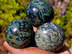 Polished Stromatolite "Kambamba Jasper" Mushrooms x 6 From Katsepy, Madagascar - Toprock Gemstones and Minerals 