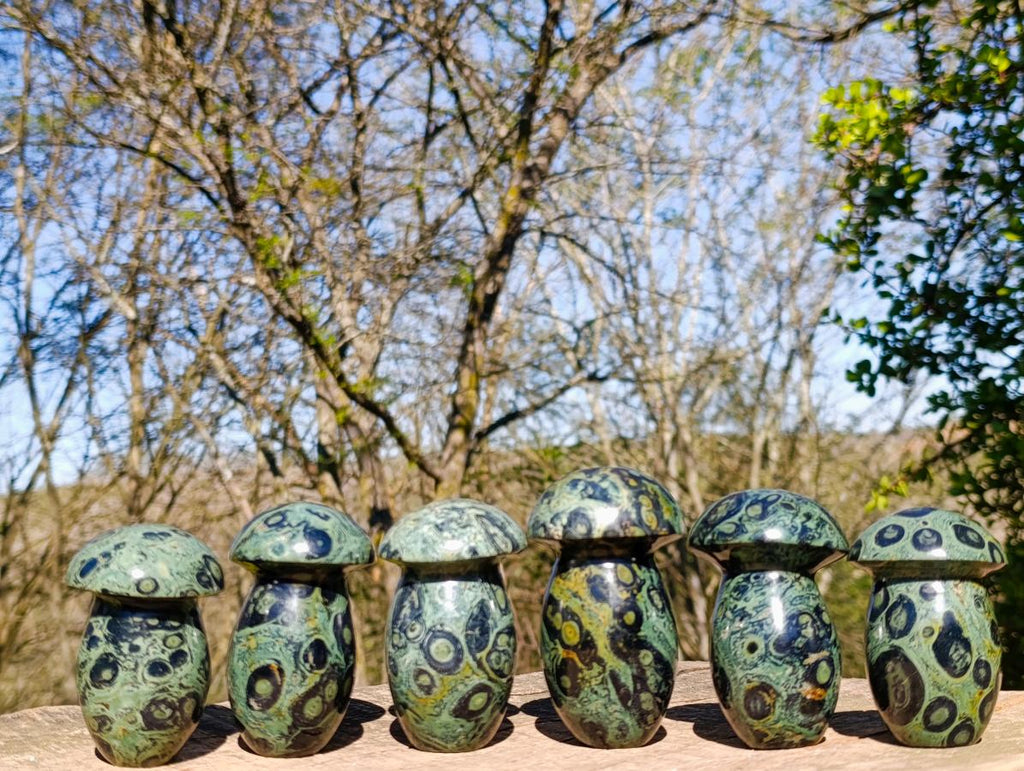 Polished Stromatolite "Kambamba Jasper" Mushrooms x 6 From Katsepy, Madagascar - Toprock Gemstones and Minerals 