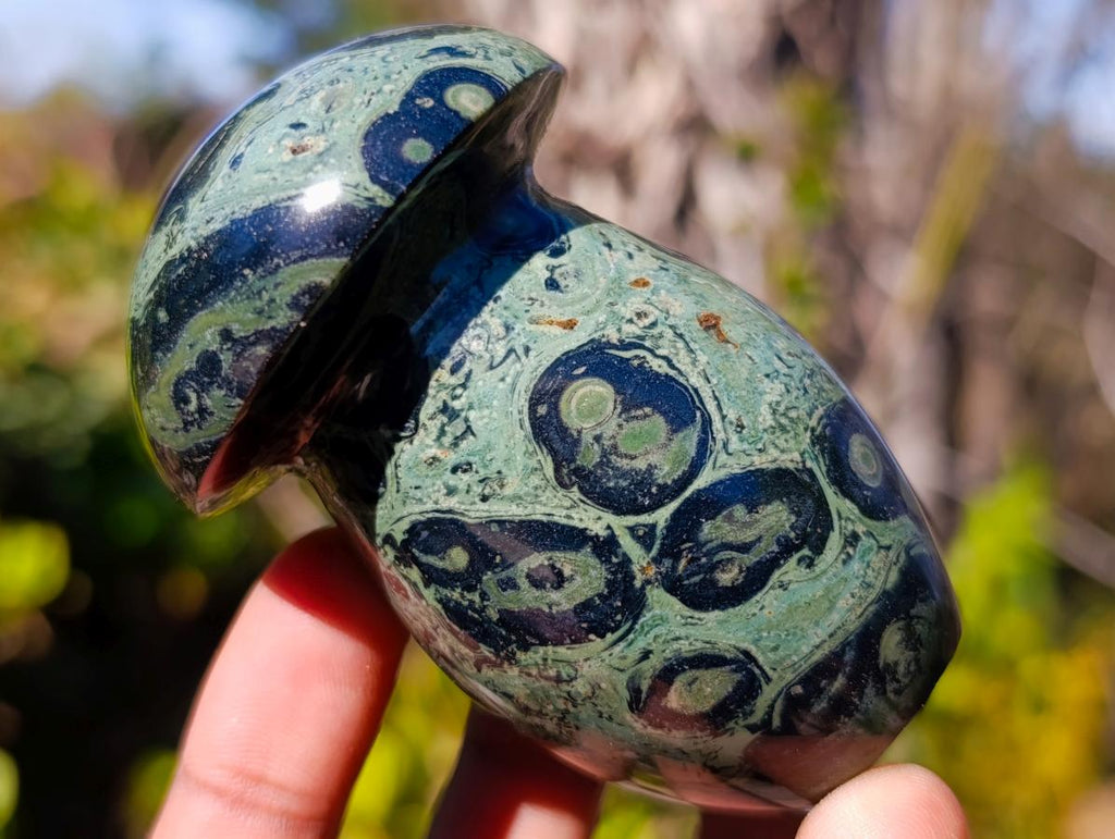 Polished Stromatolite "Kambamba Jasper" Mushrooms x 6 From Katsepy, Madagascar - Toprock Gemstones and Minerals 