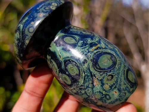 Polished Stromatolite "Kambamba Jasper" Mushrooms x 6 From Katsepy, Madagascar - Toprock Gemstones and Minerals 