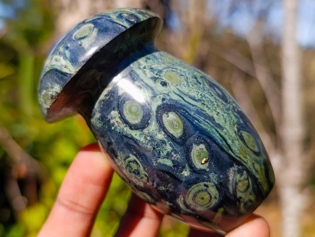 Polished Stromatolite "Kambamba Jasper" Mushrooms x 6 From Katsepy, Madagascar - Toprock Gemstones and Minerals 
