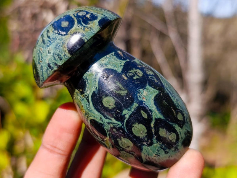 Polished Stromatolite "Kambamba Jasper" Mushrooms x 6 From Katsepy, Madagascar - Toprock Gemstones and Minerals 
