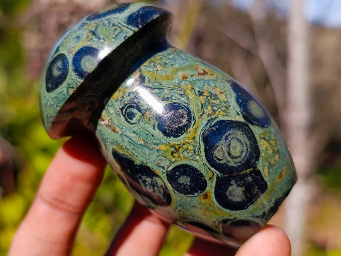 Polished Stromatolite "Kambamba Jasper" Mushrooms x 6 From Katsepy, Madagascar - Toprock Gemstones and Minerals 