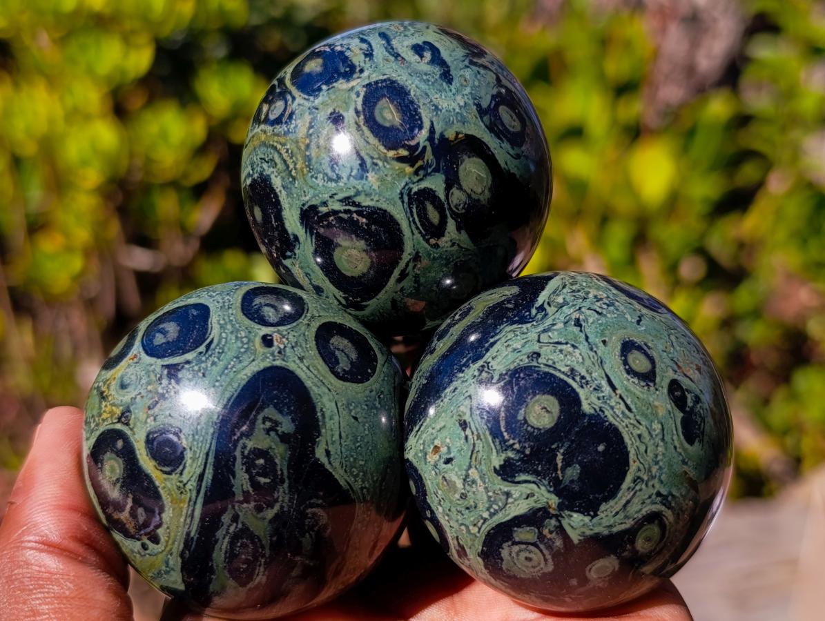 Polished Stromatolite "Kambamba Jasper" Mushrooms x 6 From Katsepy, Madagascar - Toprock Gemstones and Minerals 