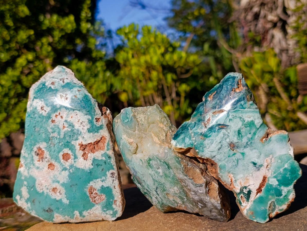 Polished One Side Great Dyke Mtorolite Chrysoprase Slices x 6 From Great Dyke Mountain Range, Zimbabwe - Toprock Gemstones and Minerals 