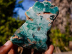 Polished One Side Great Dyke Mtorolite Chrysoprase Slices x 6 From Great Dyke Mountain Range, Zimbabwe - Toprock Gemstones and Minerals 