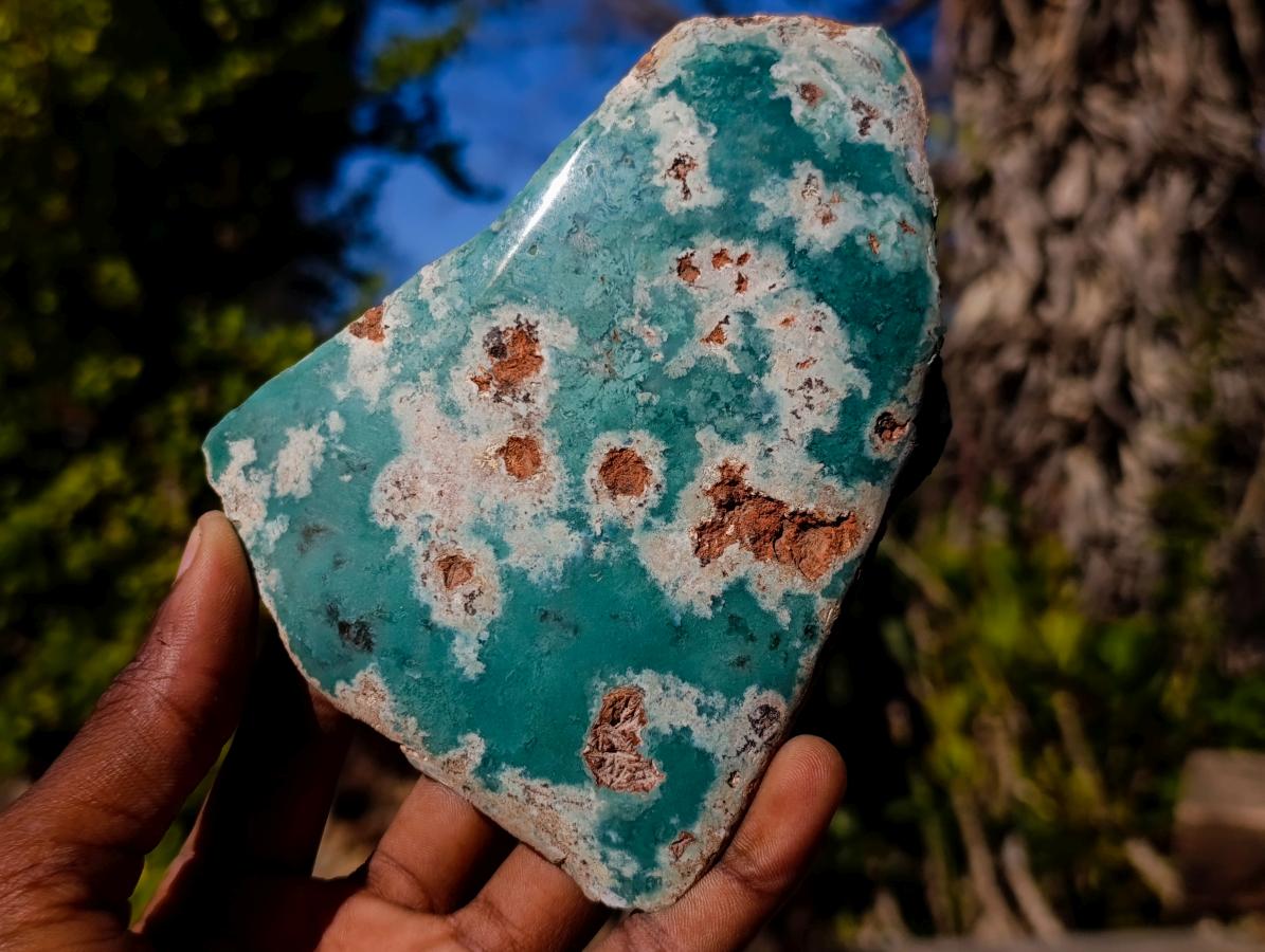 Polished One Side Great Dyke Mtorolite Chrysoprase Slices x 6 From Great Dyke Mountain Range, Zimbabwe - Toprock Gemstones and Minerals 