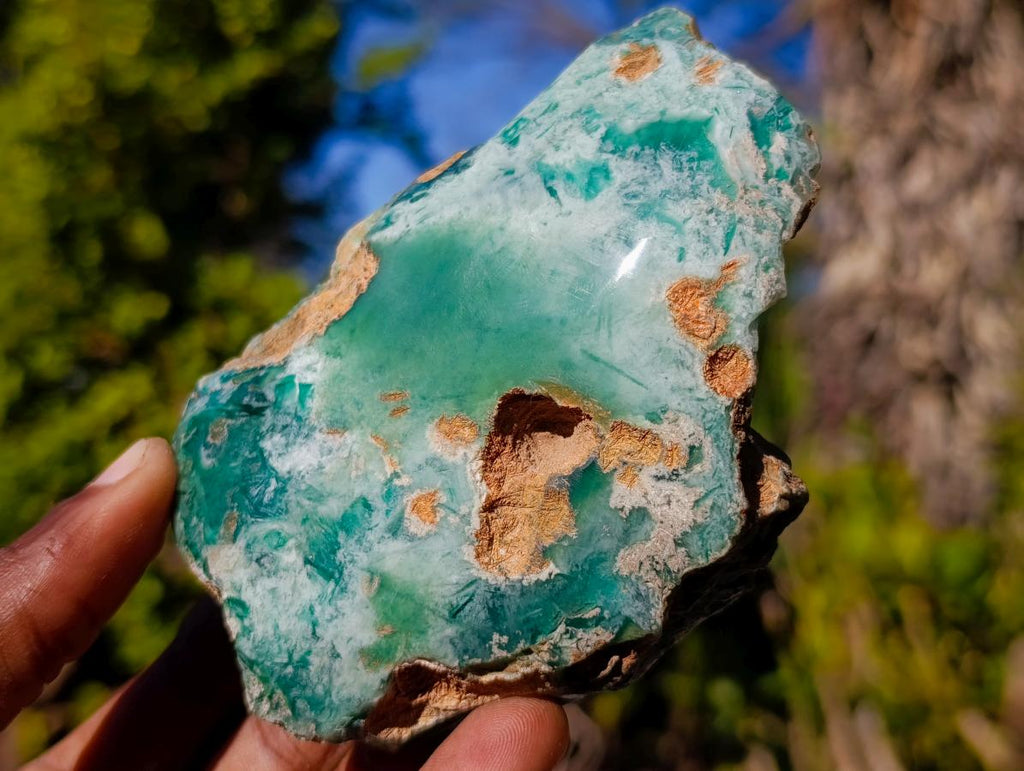 Polished One Side Great Dyke Mtorolite Chrysoprase Slices x 6 From Great Dyke Mountain Range, Zimbabwe - Toprock Gemstones and Minerals 