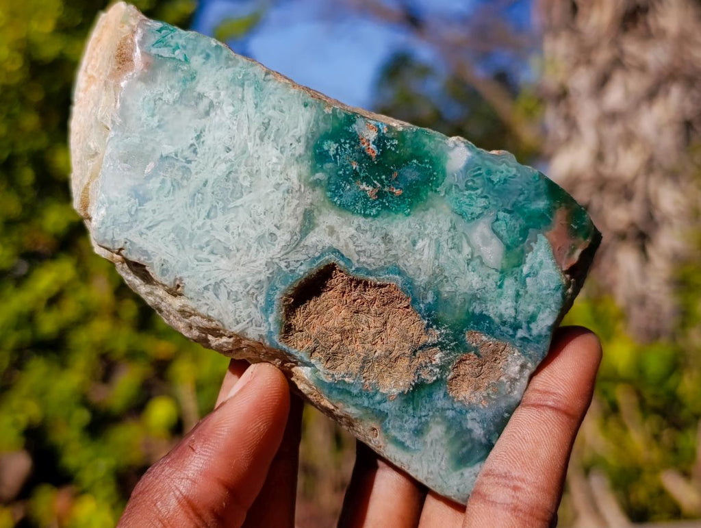 Polished One Side Great Dyke Mtorolite Chrysoprase Slices x 6 From Great Dyke Mountain Range, Zimbabwe - Toprock Gemstones and Minerals 