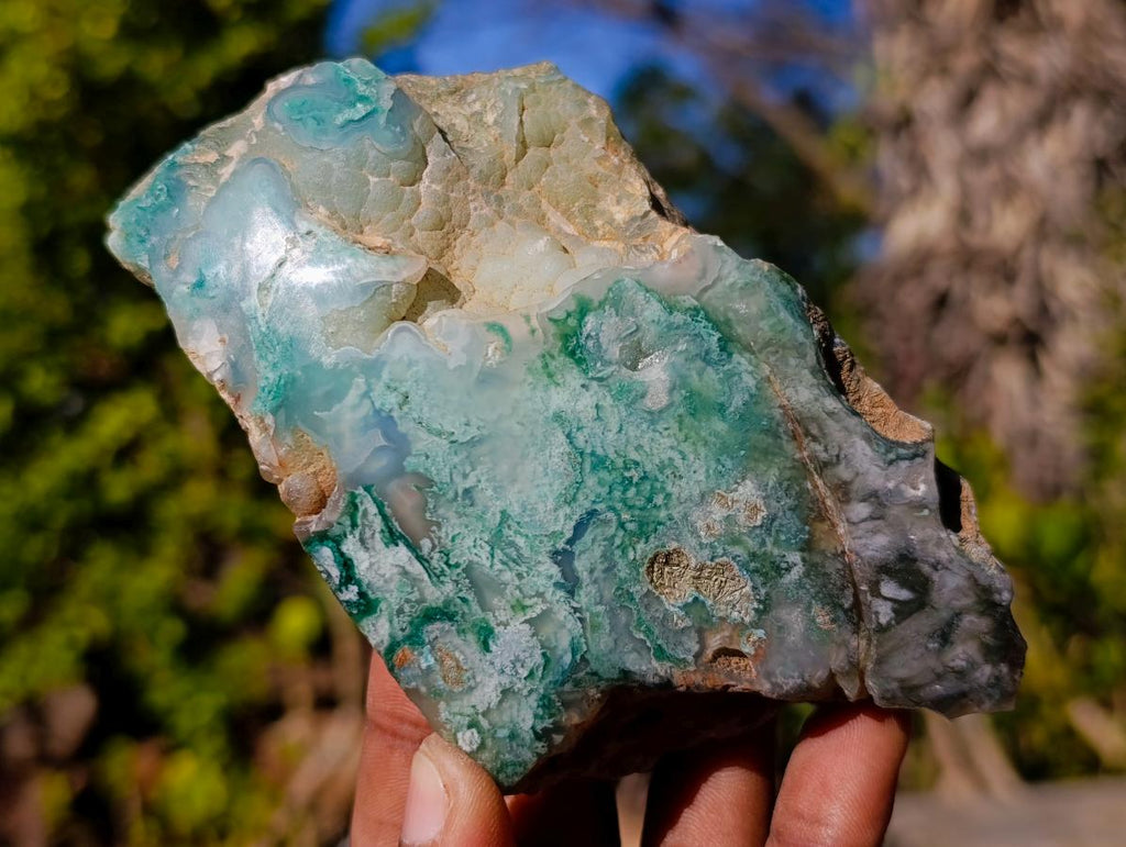Polished One Side Great Dyke Mtorolite Chrysoprase Slices x 6 From Great Dyke Mountain Range, Zimbabwe - Toprock Gemstones and Minerals 