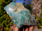 Polished One Side Great Dyke Mtorolite Chrysoprase Slices x 6 From Great Dyke Mountain Range, Zimbabwe - Toprock Gemstones and Minerals 