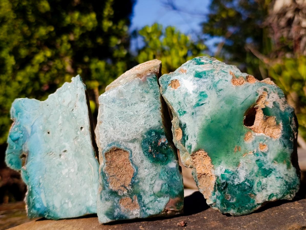 Polished One Side Great Dyke Mtorolite Chrysoprase Slices x 6 From Great Dyke Mountain Range, Zimbabwe - Toprock Gemstones and Minerals 