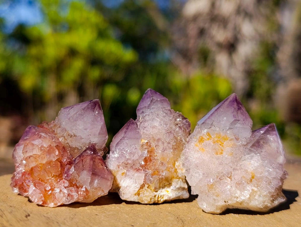 Natural Spirit Amethyst Crystals x 70 From Boekenhouthoek, South Africa - Toprock Gemstones and Minerals 