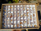 Natural Spirit Amethyst Crystals x 70 From Boekenhouthoek, South Africa - Toprock Gemstones and Minerals 