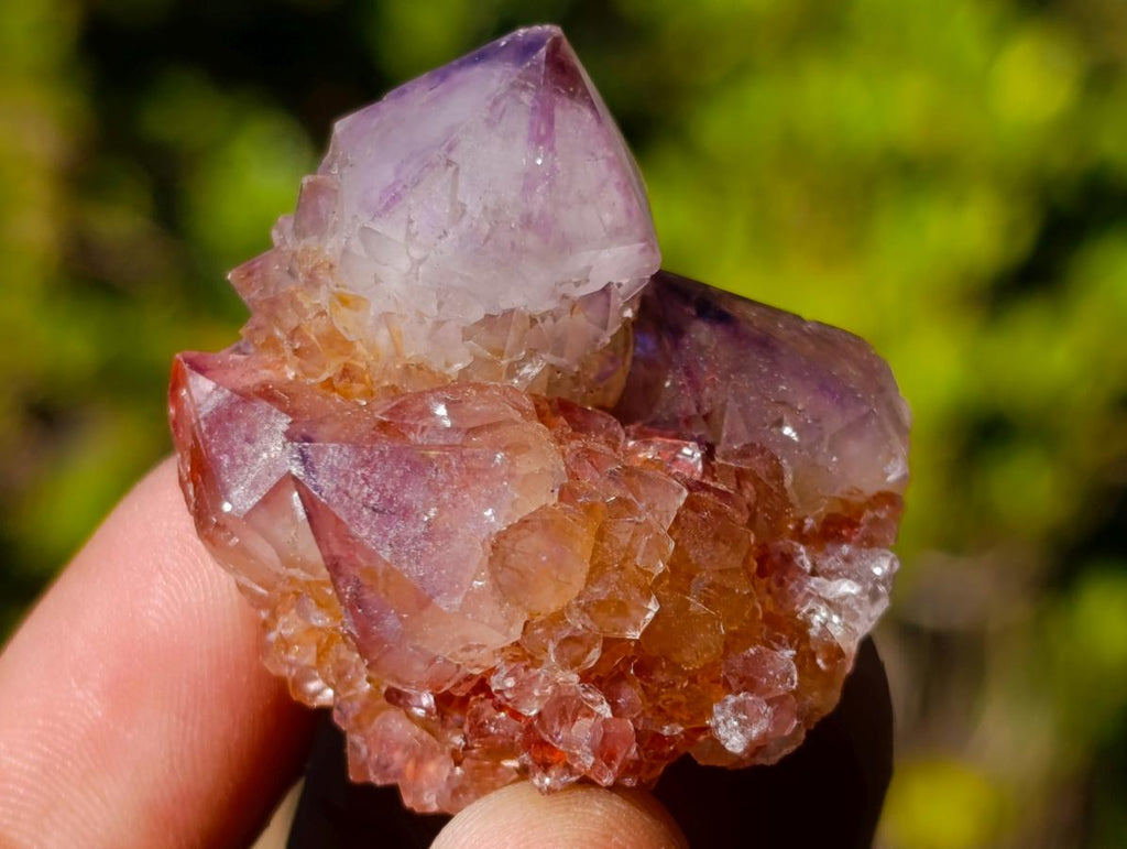 Natural Spirit Amethyst Crystals x 70 From Boekenhouthoek, South Africa - Toprock Gemstones and Minerals 