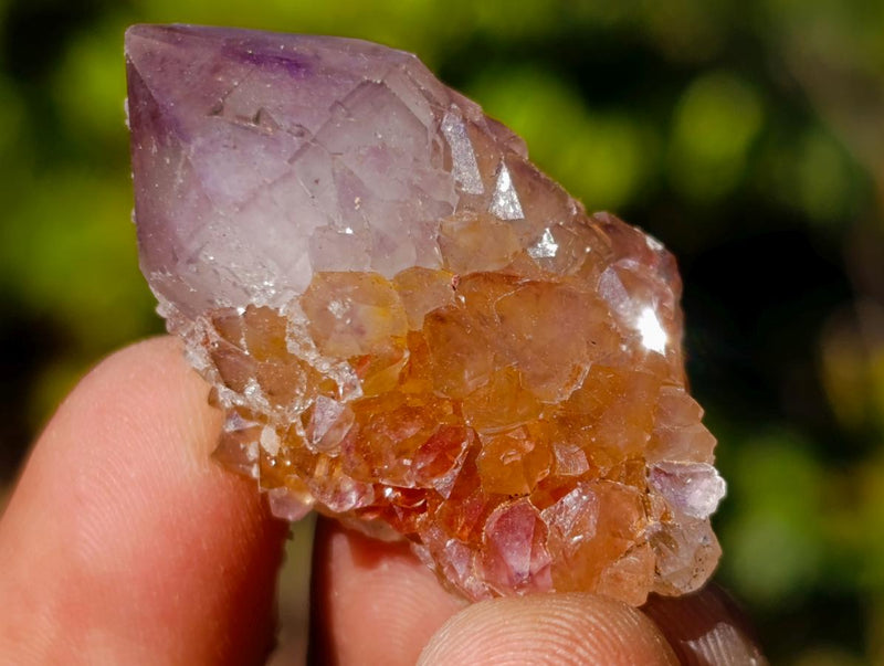 Natural Spirit Amethyst Crystals x 70 From Boekenhouthoek, South Africa - Toprock Gemstones and Minerals 