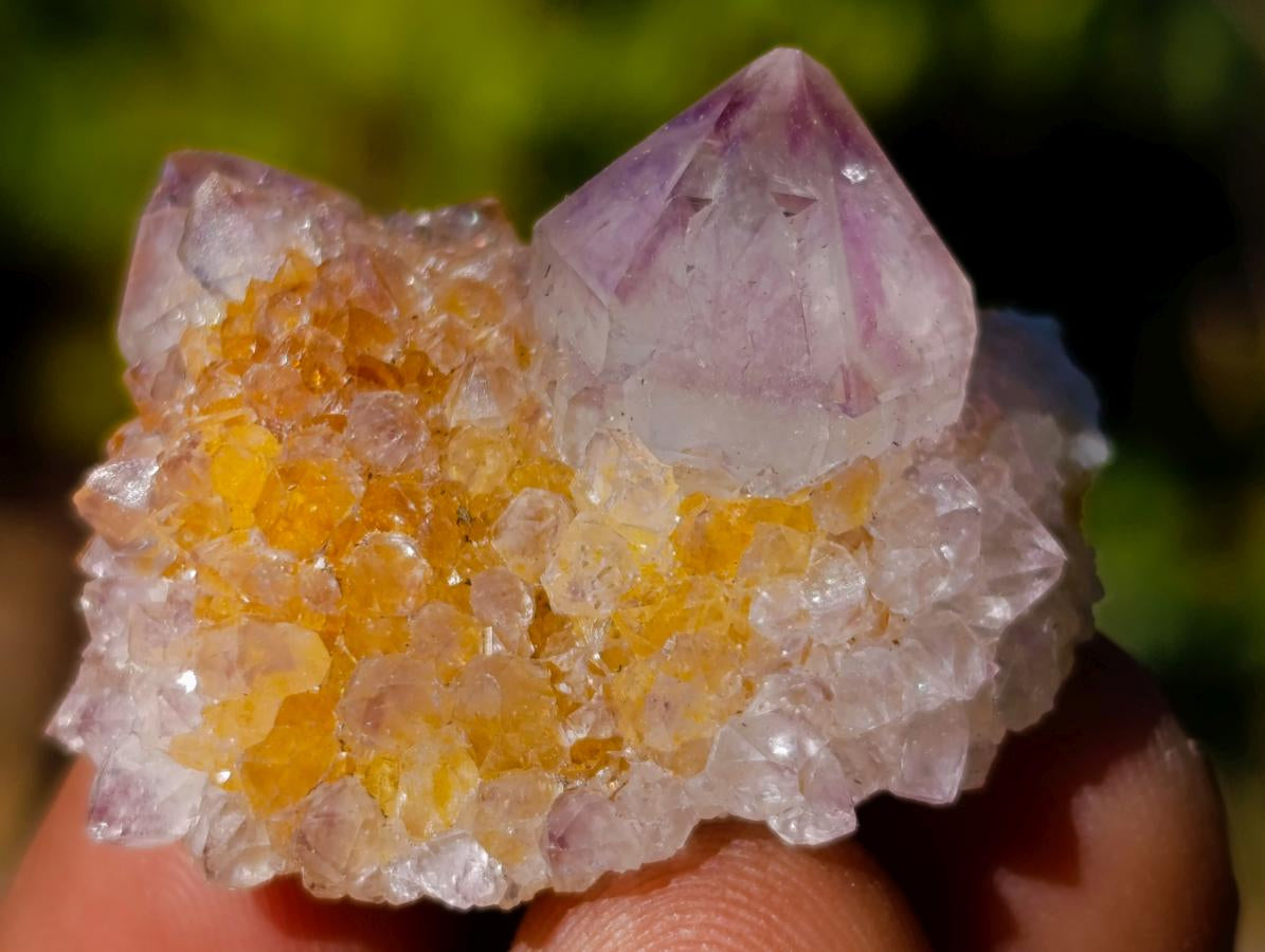 Natural Spirit Amethyst Crystals x 70 From Boekenhouthoek, South Africa - Toprock Gemstones and Minerals 