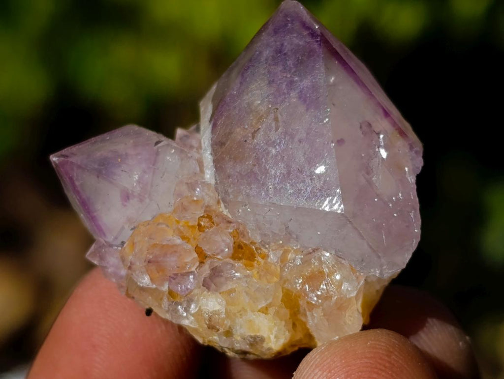 Natural Spirit Amethyst Crystals x 70 From Boekenhouthoek, South Africa - Toprock Gemstones and Minerals 