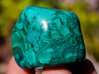 Polished Mix of Malachite Free Forms and Angel Tear Quartz x 70 From Congo and Madagascar - Toprock Gemstones and Minerals 