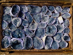 Natural Blue Celestite Specimens x 45 From Sakoany, Madagascar - Toprock Gemstones and Minerals 