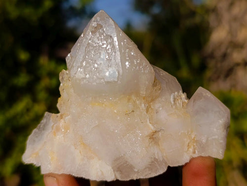 Natural Cascading "Anananas" Candle Quartz Clusters x 7 From Antsirabe, Madagascar - Toprock Gemstones and Minerals 